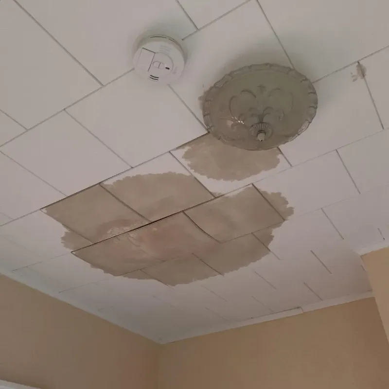 Ceiling Water Damage Repair in Milan, OH
