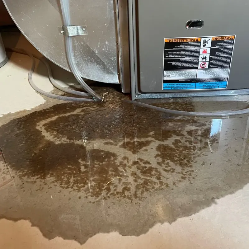 Pipe Burst and Leak Restoration in Milan, OH