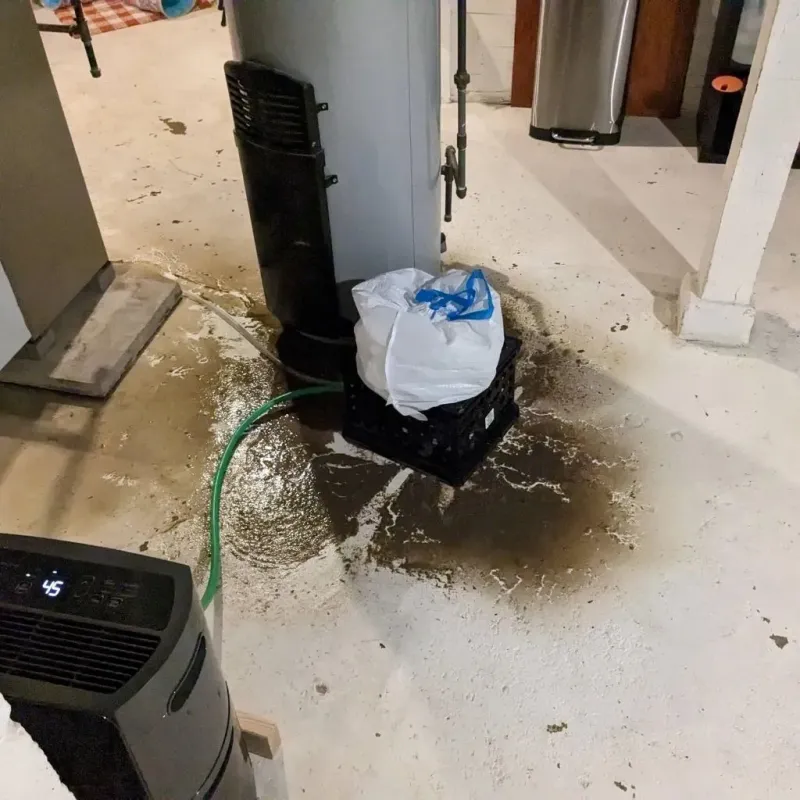 Sewage Backup Cleanup Service in Milan, OH